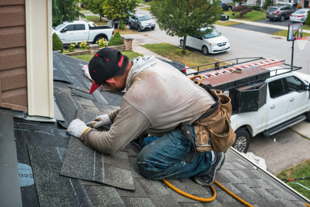 Professional Roof Inspection technician working in Palisades Park, NJ